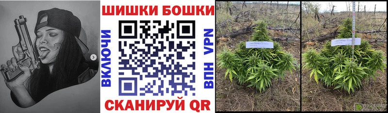 Псилоцибиновые грибы Южноуральск