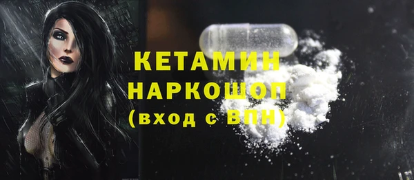 СК Каменногорск