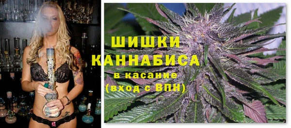 ALPHA-PVP Каменка