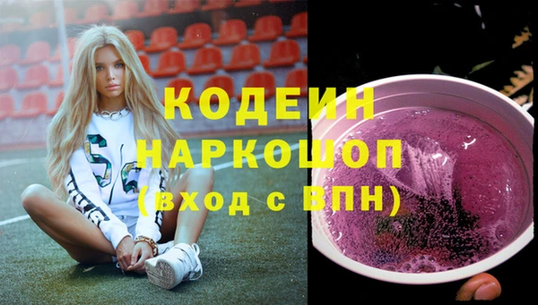 СК Каменногорск