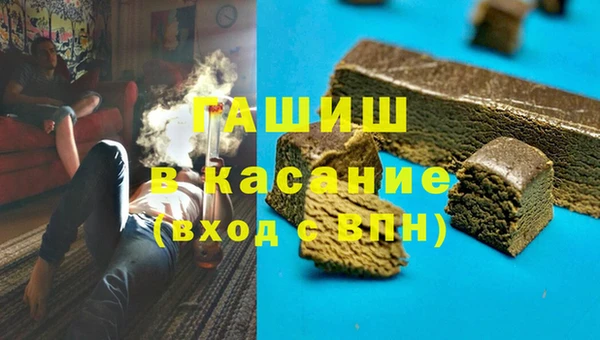 СК Каменногорск