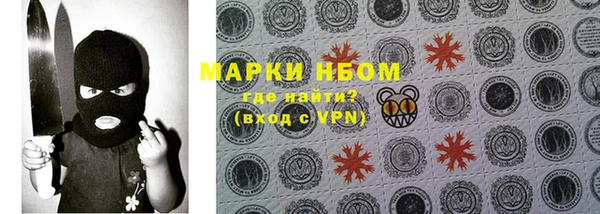 СК Каменногорск