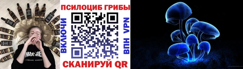 Псилоцибиновые грибы Psilocybine cubensis Южноуральск