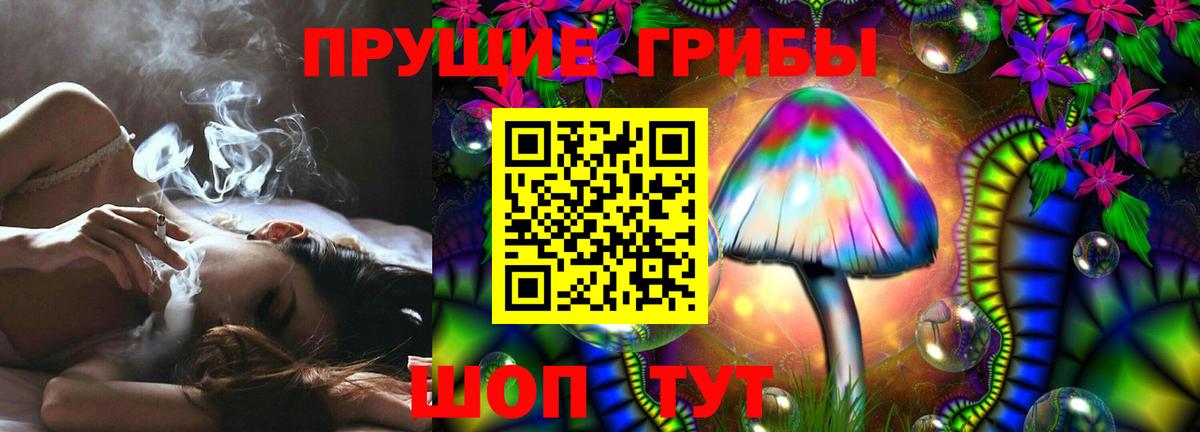 Южноуральск  Галлюциногенные грибы прущие грибы  Вход с VPN 